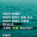 방황 이미지