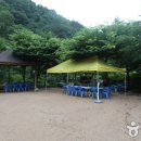 들꽃나라 이미지