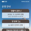 화이트 시즌 이미지