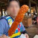 서프베이 | 캐리비안베이 엔시티 위시 공연 실물 후기 에버랜드