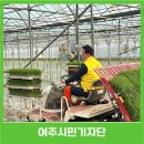 여주시농협조합공동사업법인 | 여주쌀이 나가신다 ‘여주시 첫 모내기 행사’ 열려