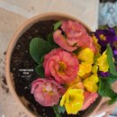 대전광역시립제2노인전문병원 이미지