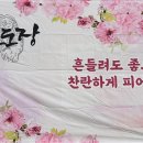 용호 태권도장 이미지