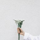 양산서울요양병원장례식장