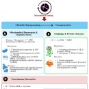 Re: 간헐적 단식, 칼로리 제한 식사 - post-stroke neuroprotenction!! 이미지