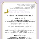 캣케밍 네이버블로그