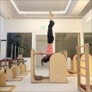 필라스타 이미지