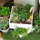 화원에서 산 포트 화분으로 멋진 정원을 만들어 보았다. 입체적인 2단 가든박스 만들기 이미지