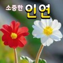 작은천국 이미지