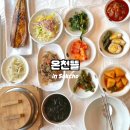 온천뜰 | 속초 한정식 온천뜰 척산온천 근처 산채비빔밥 맛집
