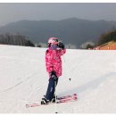 비발디강습센터