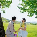 No.16 [웨딩스냅 후기] 호정필름과 함께한 고창 청보리밭 야외촬영 리얼후기
