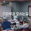 신피부과의원 네이버블로그