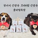 강아지 산양유 솔바람목장 건강한 원유 입맛저격 제대로