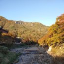 (주)넷돌 | 🍁가을 나들이~ 아이 넷과 함께한 밀양 표충사 산책기