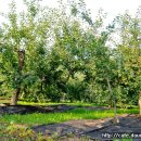 경재농장 이미지