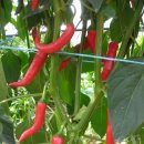 동연농장 이미지