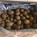 수호 농장 이미지