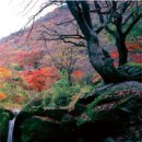 단풍산행 가이드(정읍시청 산악회 제공) 이미지