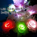 풍경플라워 이미지