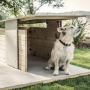 Dog House 이미지