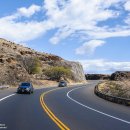 바다파파 이미지