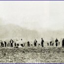 김영채농장 이미지