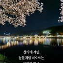 창밖의 여자 이미지