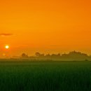 자연풍경 이미지