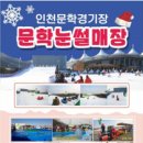 문학눈썰매장 네이버블로그