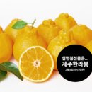 야베스하우스 이미지