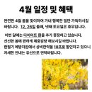 명리한약국 네이버블로그