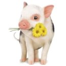 도안박사공인중개사사무소 이미지