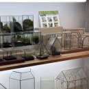 (동서남북)작은 생태계 테라리움 만들기 | 광주 주말에 아이랑 가기 좋은 테라리움 원데이 클래스 체험 , 데라스튜디오