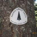 페시픽 크레스트 트레일 (Pacific Crest Trail) - Stevens Pass to Snoqualmie Pass 이미지