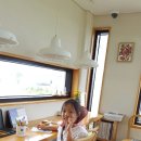 세화 동백그늘 이미지