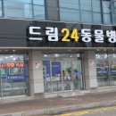 드림24동물병원 이미지