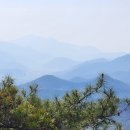 곡성-033 티스토리