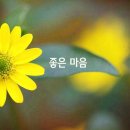 지피메디컬 이미지