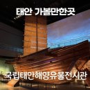 국립문화재연구소 | 태안 국립태안해양유물전시관 안면도 신진도 실내코스 전시 유아체험 후기