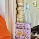 [제주 우도] 한치빵과 달콤아재 땅콩아이스크림 후기 (할인받는 방법 !!)