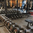 ON/OFF GYM 이미지