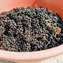 한열농장 이미지