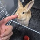 에이치 아이 하이