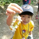 자연의소리사회적협동조합