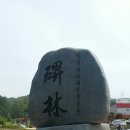 종합 서예 이미지