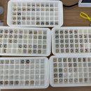 지니스안경 포항초곡삼구앞점 이미지