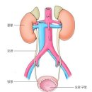 현풍경대비뇨기과의원 이미지