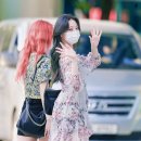 유나꽃