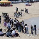 안목해변 이미지